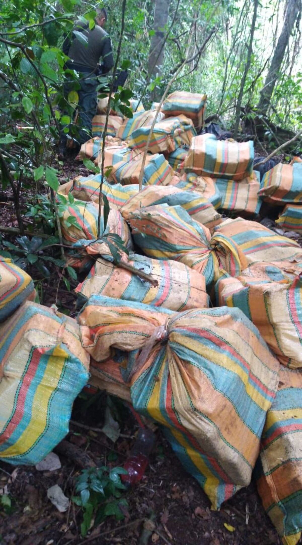 Descubren un bote hundido y un arsenal de drogas. Podría estar vinculado a una banda en Veracruz