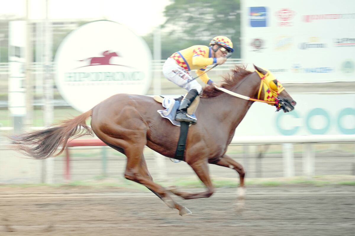 Domingo de Clásicos en el Hipódromo Presidente Remón 