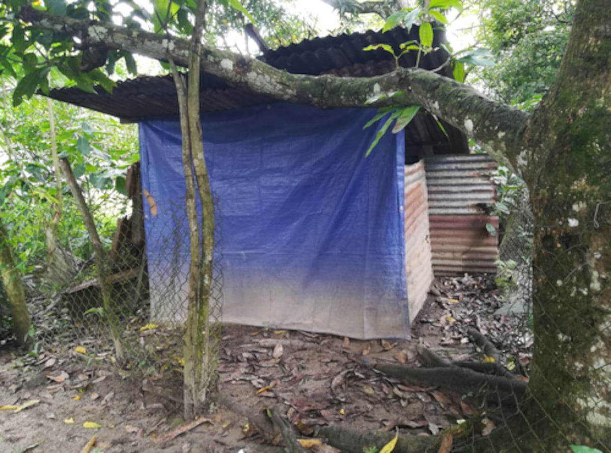 Que esta noticia se vuelva viral para que podamos ayudar a Alicia