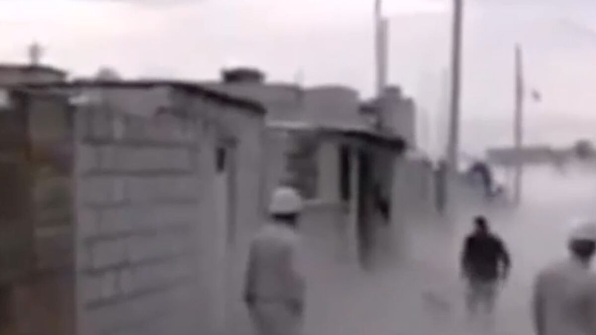 Un perro fue rescatado en medio de una nube de gas por su dueño