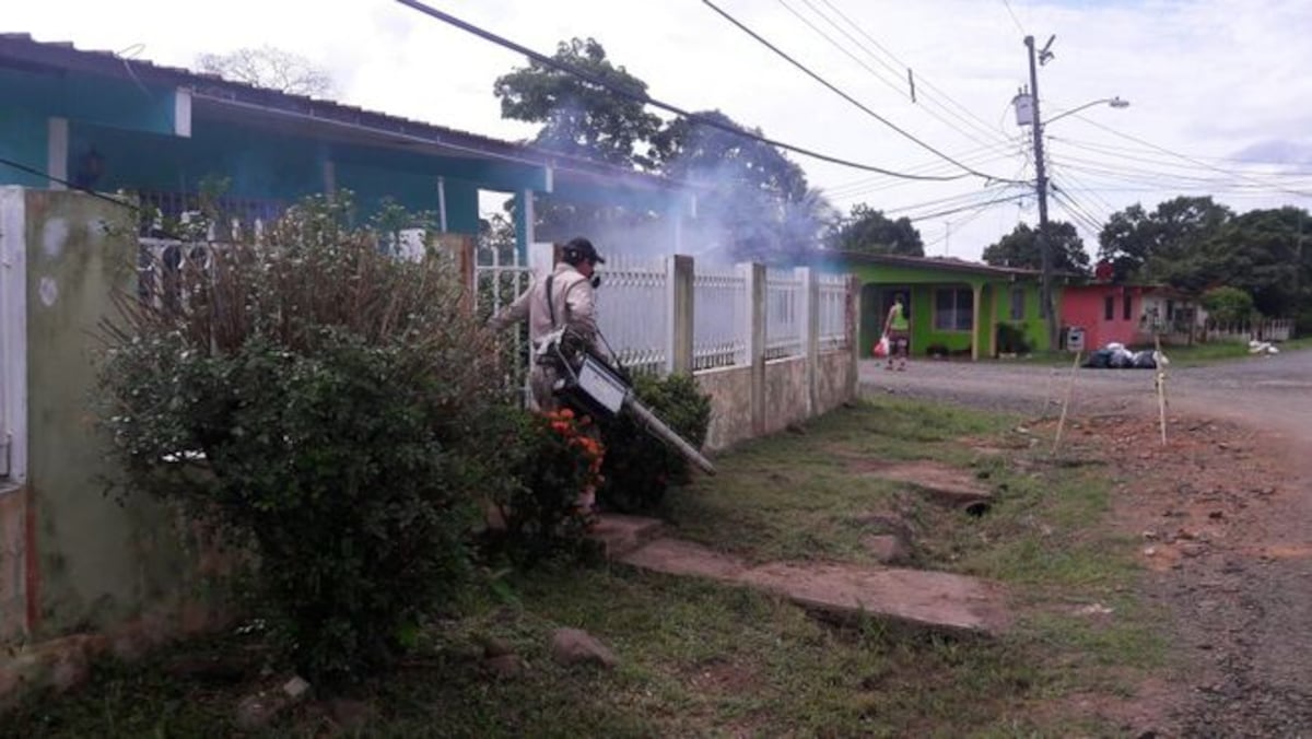 Una defunción y 507 casos de dengue en Panamá