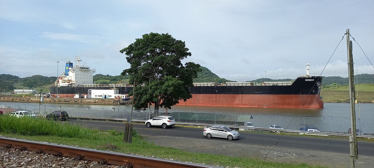 Conductor cae a las esclusas de Pedro Miguel en Paraíso