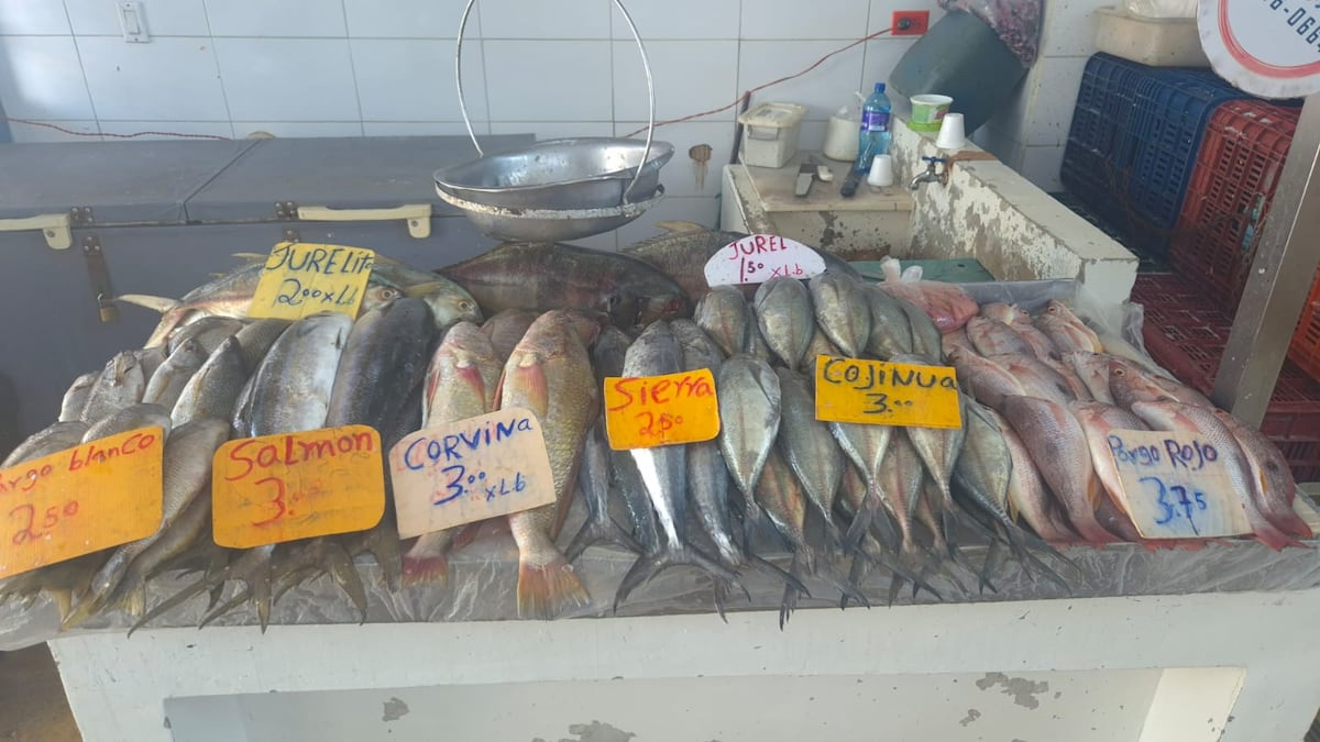 ‘Los precios están por Júpiter’: reacciones ante el alza de mariscos previo a Semana Santa