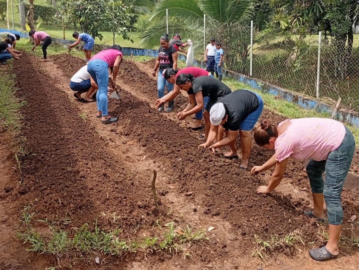 Impulsan proyectos para que productoras santeñas transformen sus cosechas y ganen más