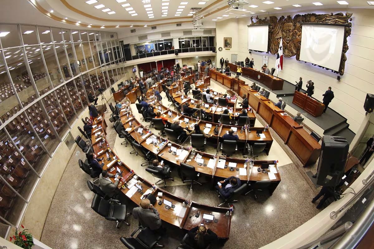 De los actuales 71 diputados, 61 están buscando la reelección