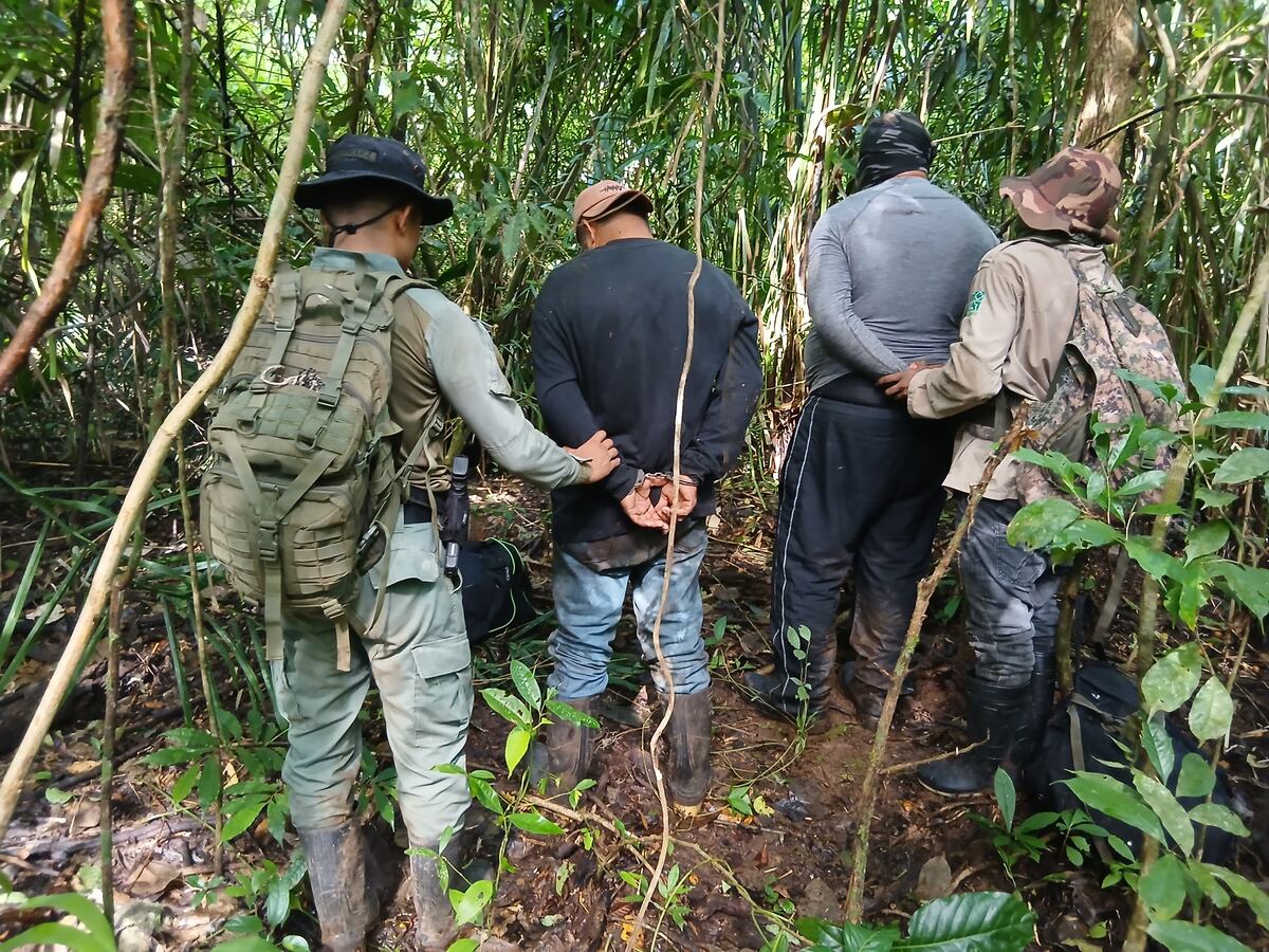 Cazan ilegalmente en bosque protegido: los atrapan con escopetas y un venado muerto