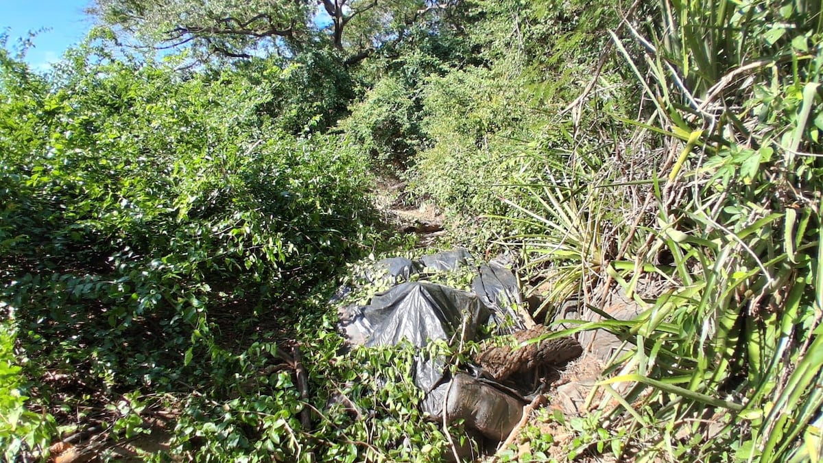 Playa al descubierto: más de mil paquetes de presunta droga caen en Los Santos