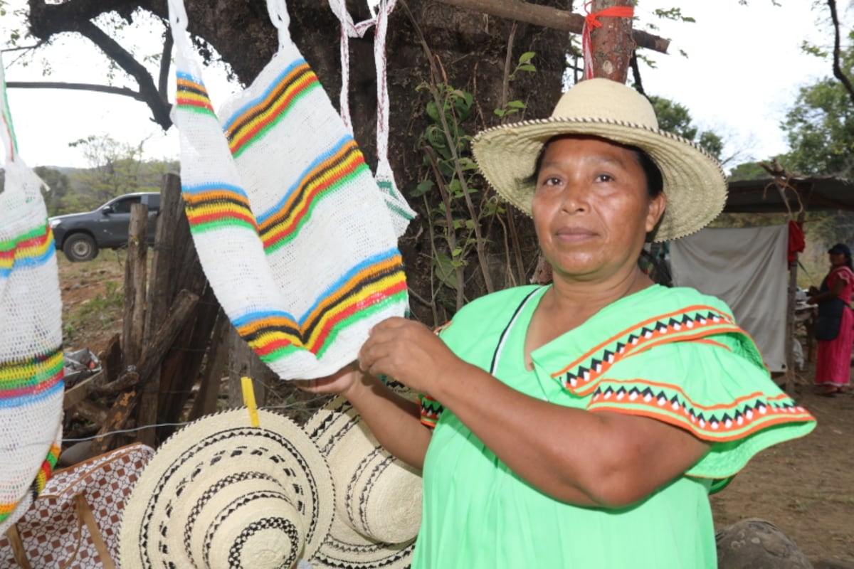 De la comarca a la universidad: ¡Estas mamás Ngäbe dijeron ‘basta’! y cambiaron la vida de sus hijos