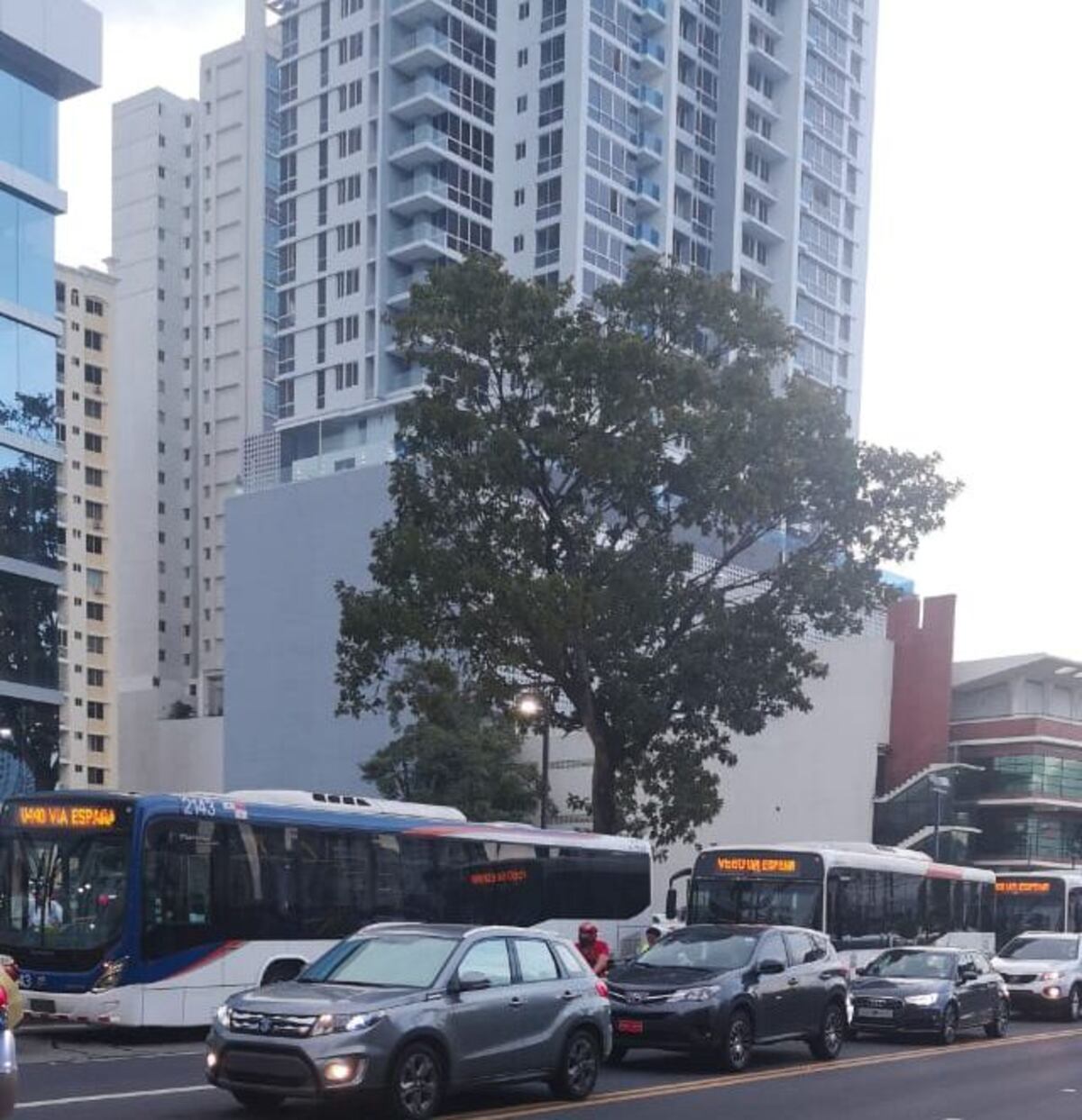Tranque descomunal. Mula afecta tendido eléctrico en plena Vía España. Video