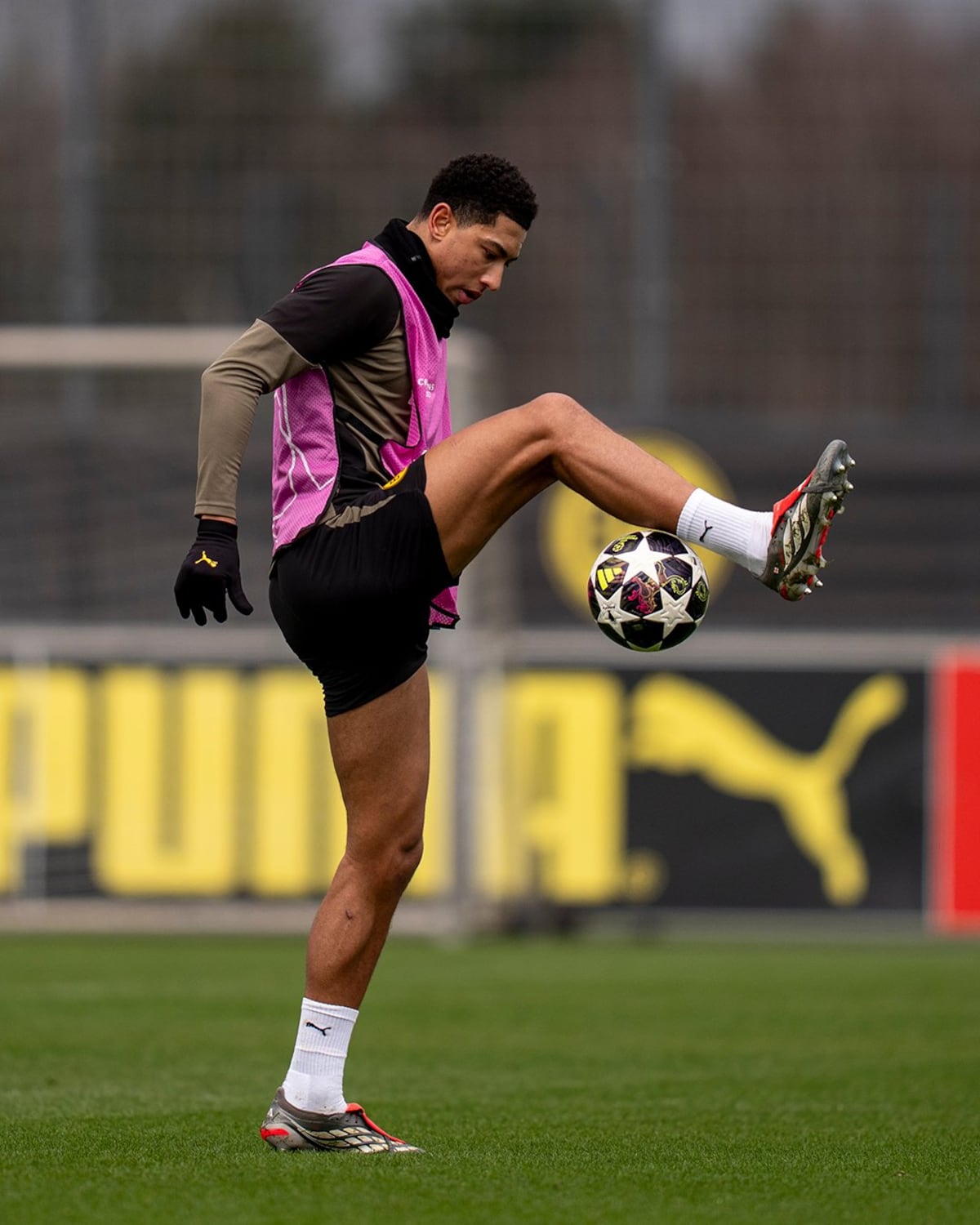 ¿Es Jude Bellingham el próximo gran fichaje del Manchester United? Análisis de un rumor candente