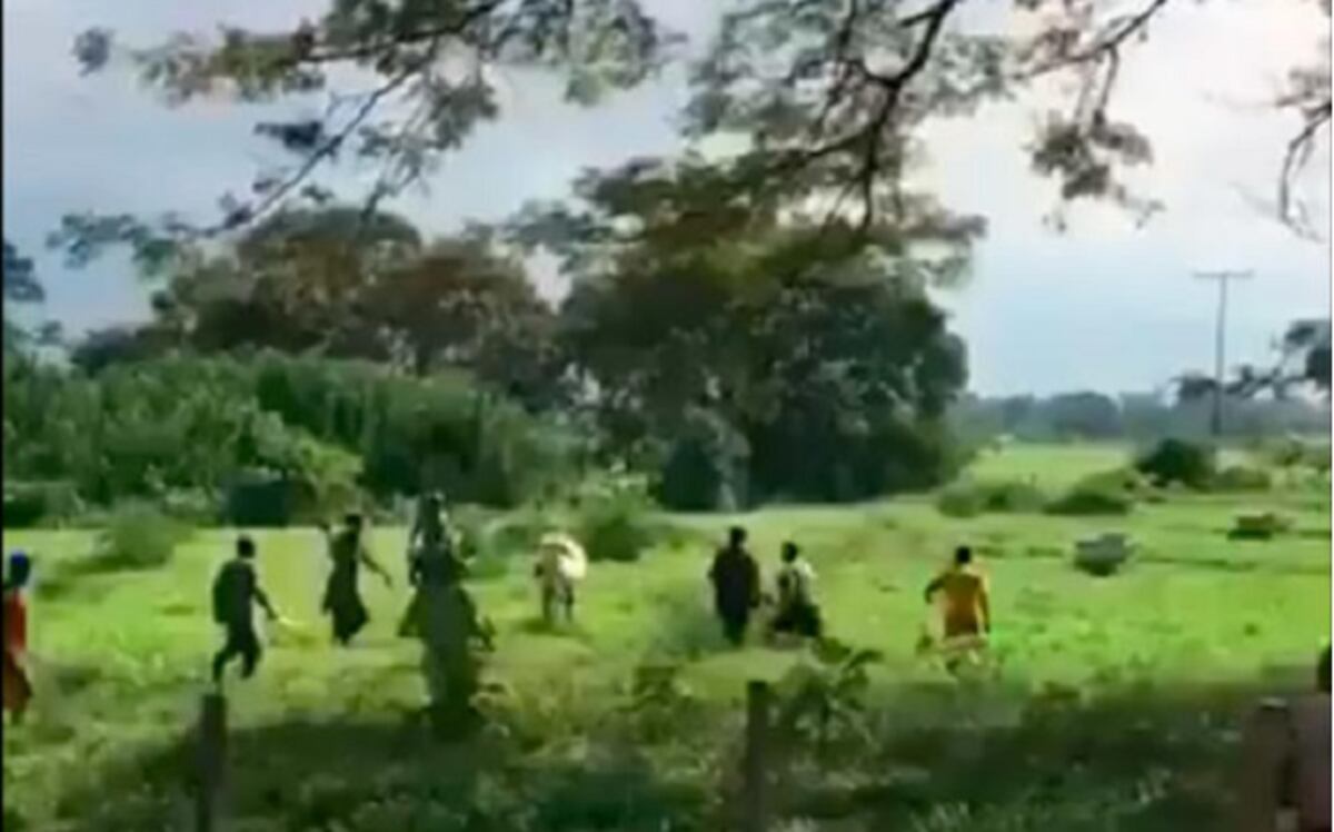 ¡POR HAMBRE! En Venezuela matan a pedradas a una vaca para comérsela