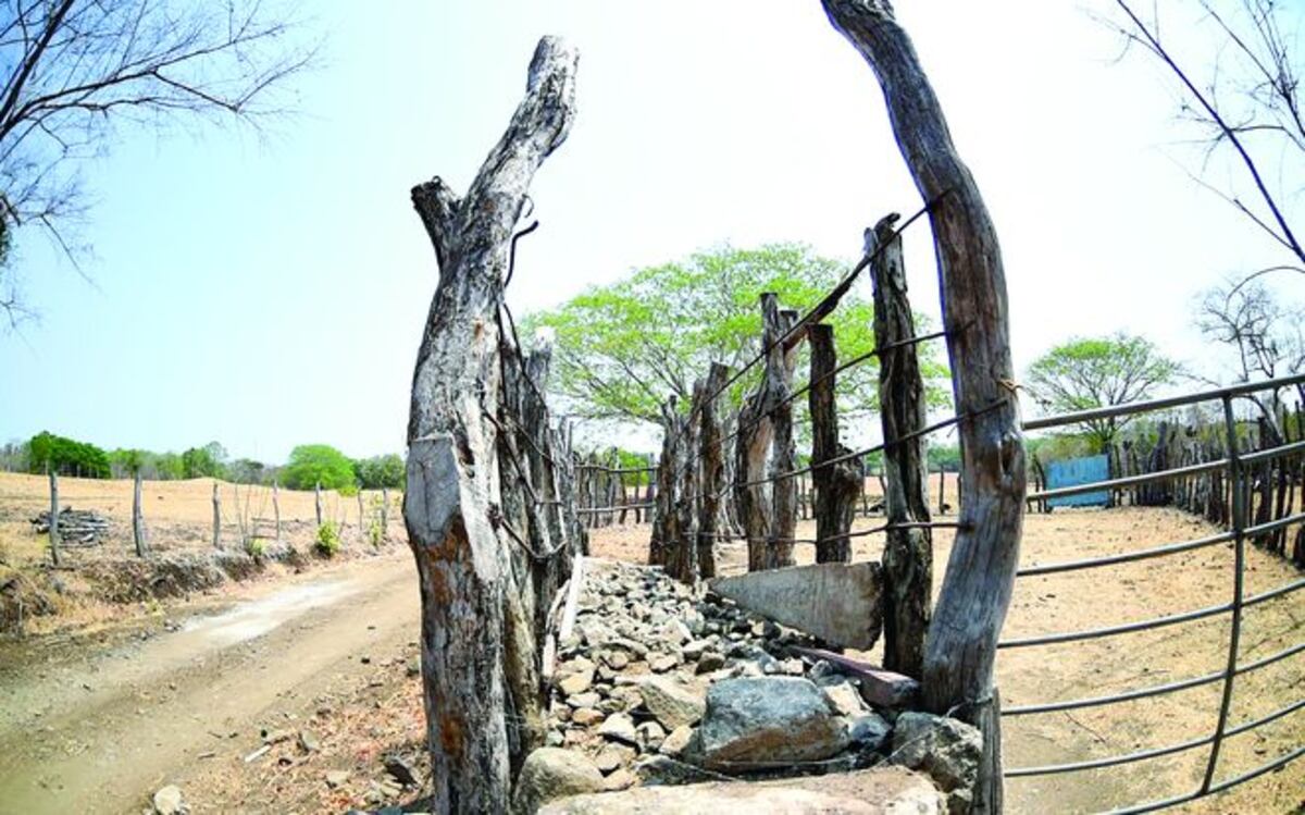 El río Canajagua se seca de forma rápida