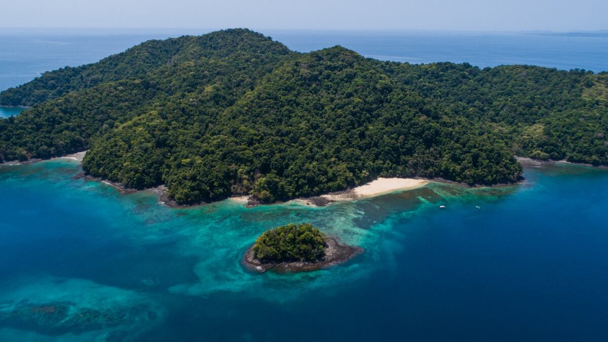 Presidente Cortizo firma Decreto Ejecutivo que amplía las áreas marinas protegidas