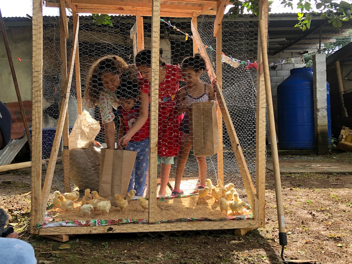 Impulsar Familias Sostenibles es la meta. TalenPro regresa de manera virtual pero tan cerca como siempre