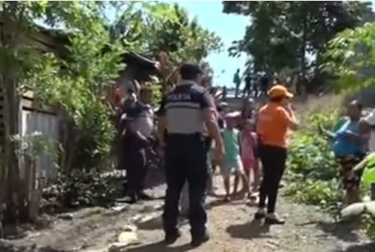 Asesinan a machetazos a dos perros en Colón. El agresor dio declaraciones. Video