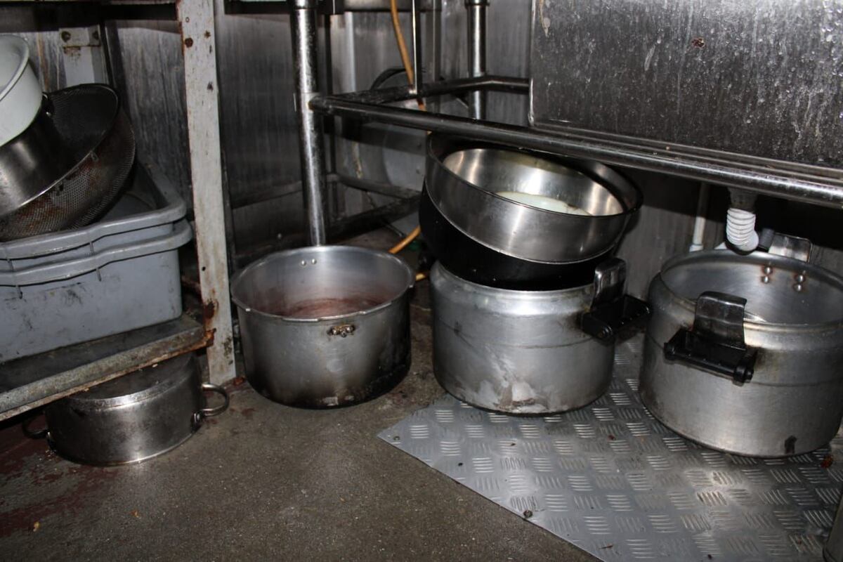 ¡Por insalubres!  Cierran temporalmente restaurante en San Antonio