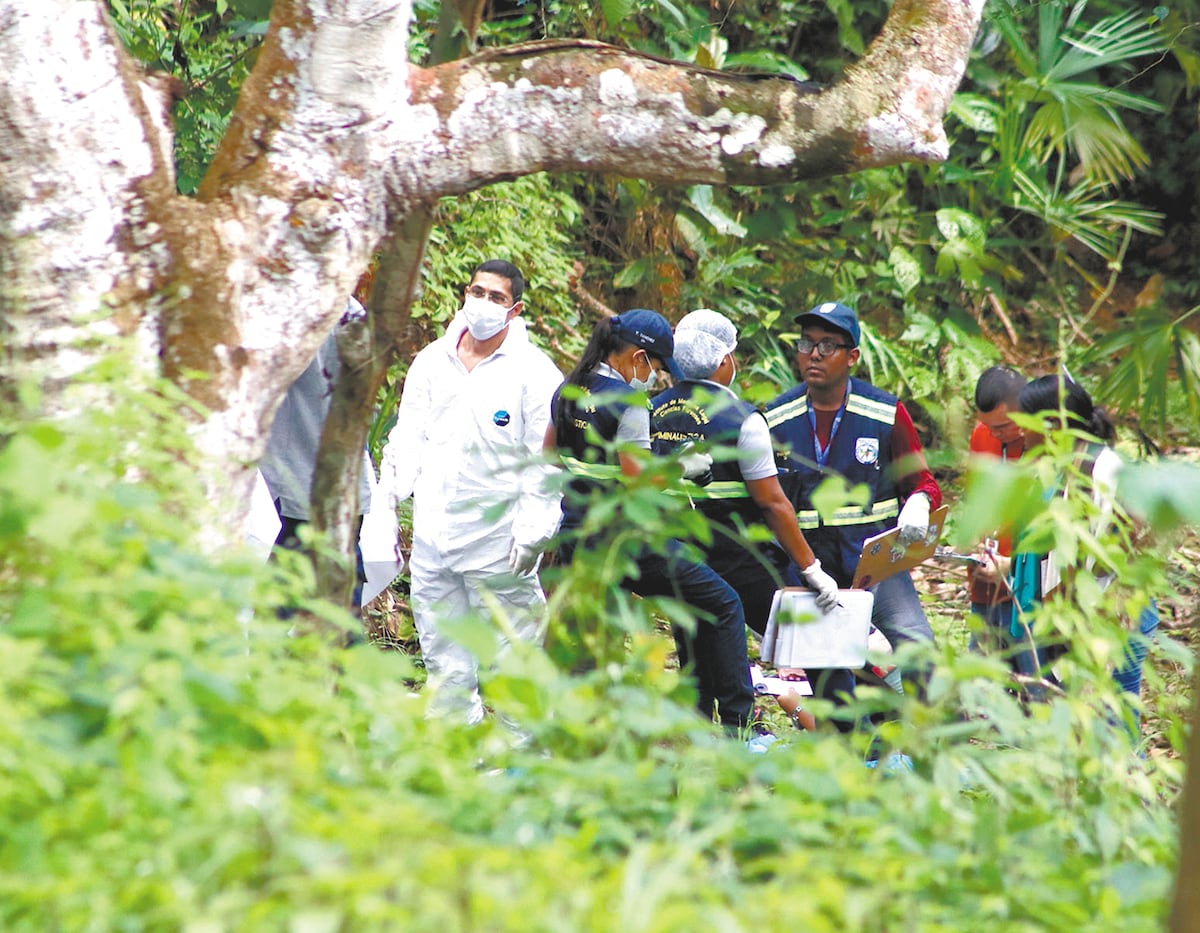 Horror. Desmembrado y lanzado a dos fosas comunes
