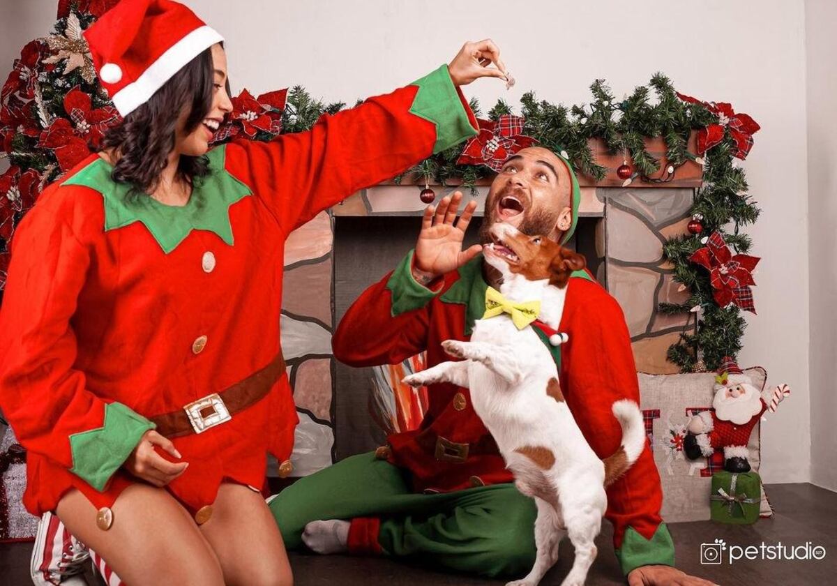 Navidad en casa. Así lucieron los famosos del patio +Fotos