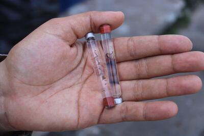 Dengue en Panamá: Colón supera los mil casos y aumentan los llamados a eliminar criaderos