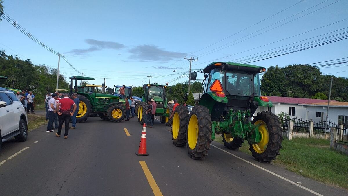 Maiceros se embellacan. Protestan en Los Santos. Video