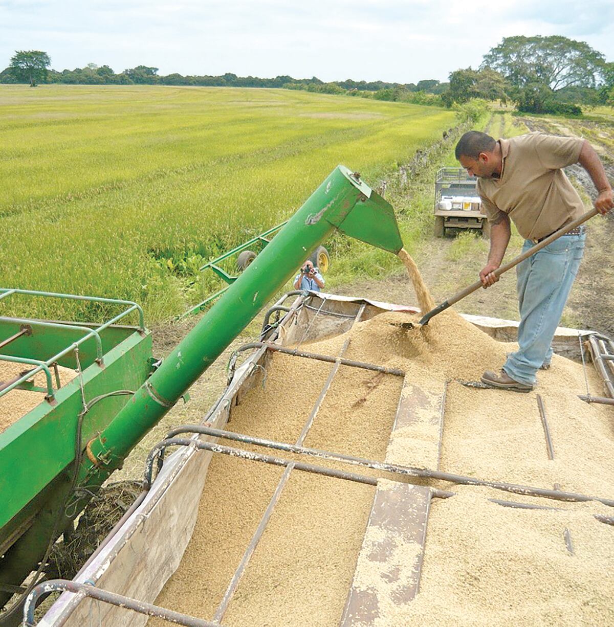 Gobierno compra arroz importado para abastecer la demanda panameña