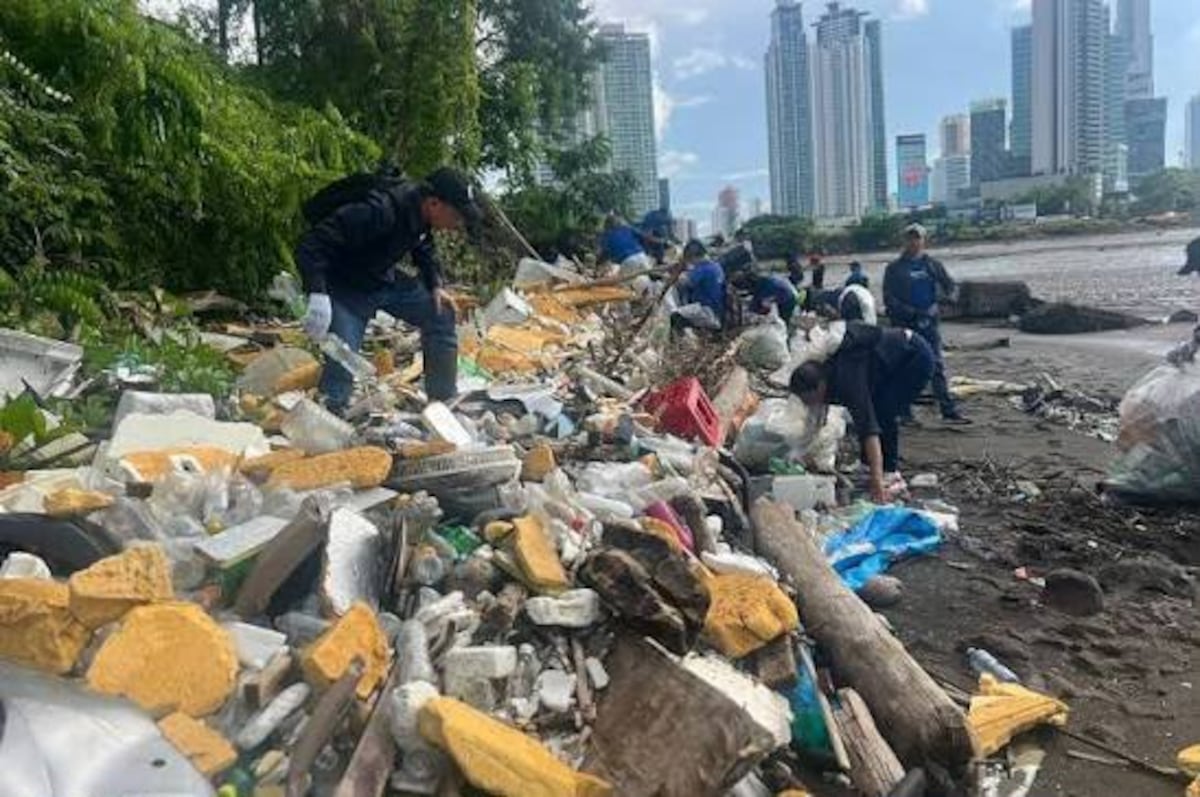 Bahía de Panamá busca renacer: Alcaldía inicia ambiciosa limpieza para recuperar sus ríos y ecosistemas