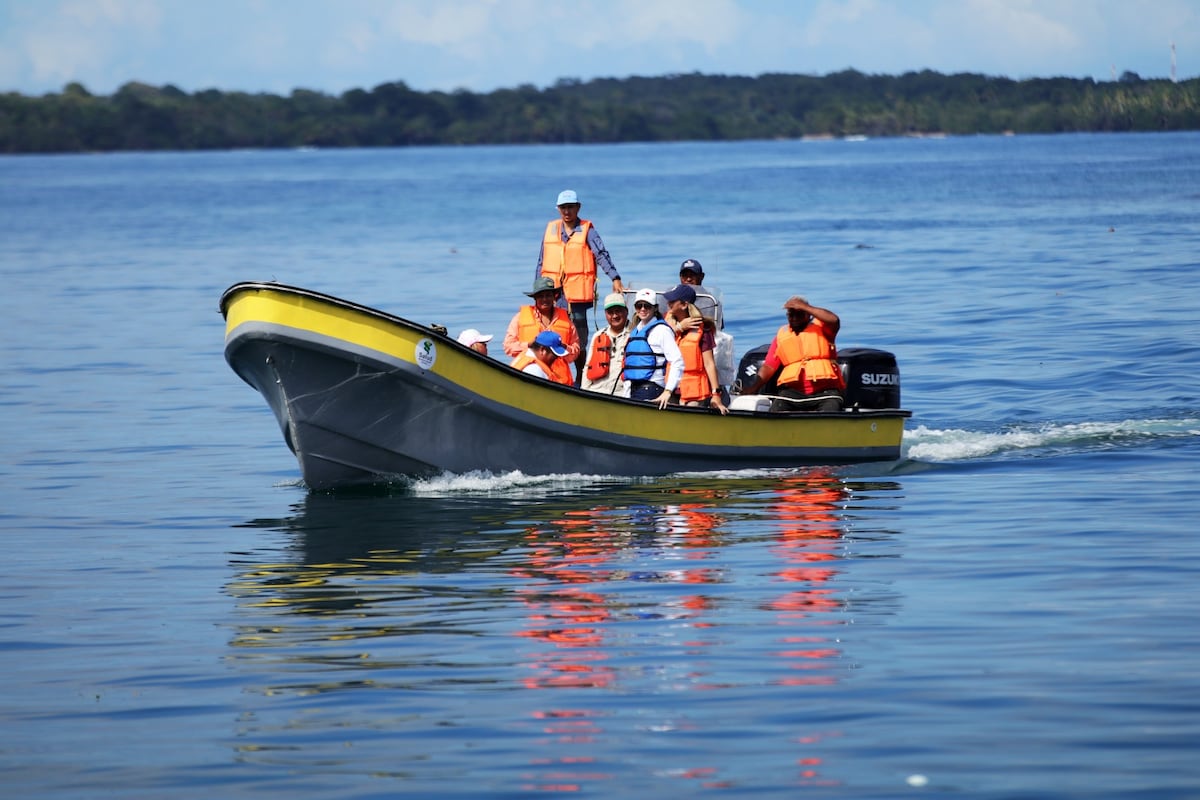 Culecos bajo lupa: agua deberá estar ‘aprobada’ por el Minsa