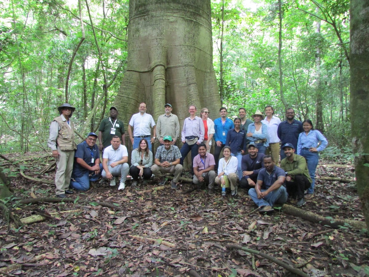 Darién brilla: Futuro Forestal muestra al mundo su reforestación sostenible
