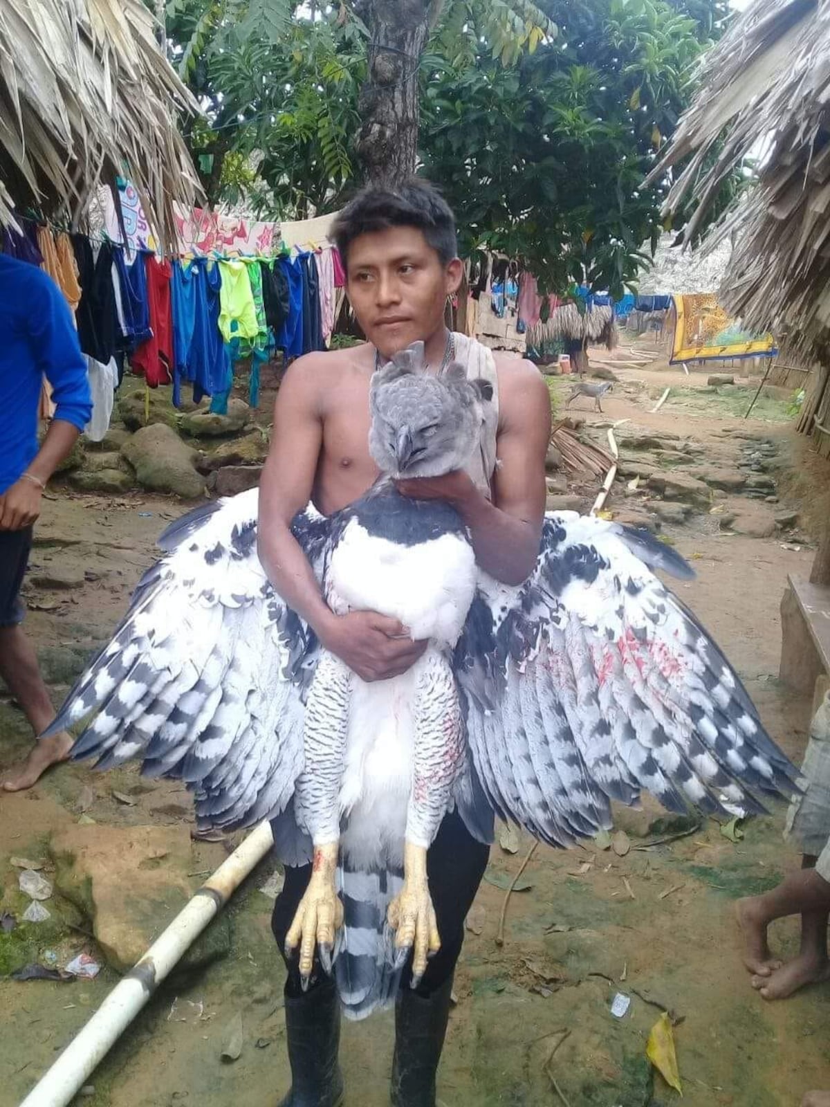 FOTO| Los que habrían posado con ave nacional de Panamá, están en serio problema