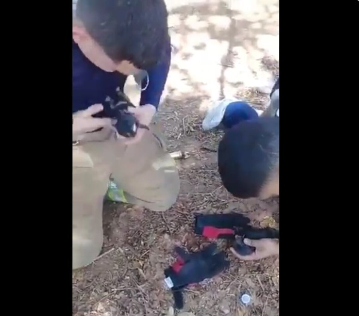 Bomberos rescatan dos cachorros de incendio en herbazal y revolucionan las redes