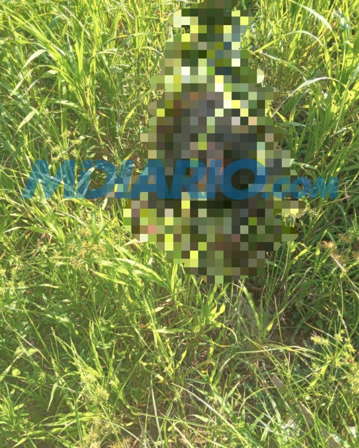 Envuelto en bolsas plásticas negras y tirado en un herbazal: así fue el hallazgo detrás del IPT Don Bosco