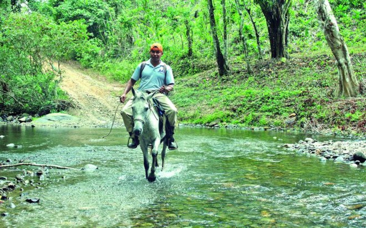 Comunidades como Vista Alegre y Los Raudales en Capira pasan páramos