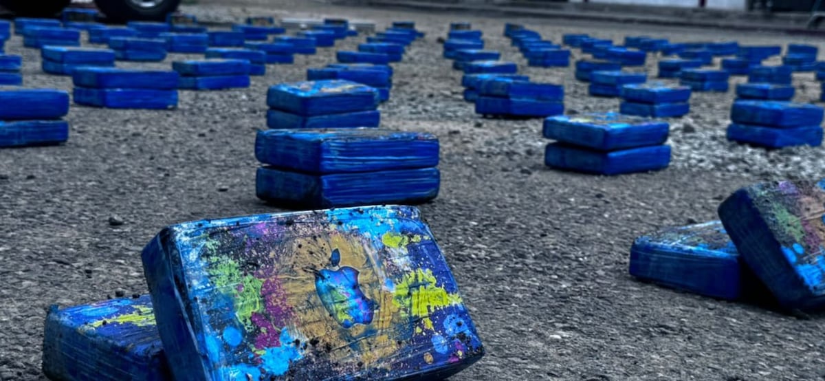 Perfilamiento en Bayano. Iba cargado de plátanos verdes, pero escondía un secreto: hallan 300 paquetes de presunta droga
