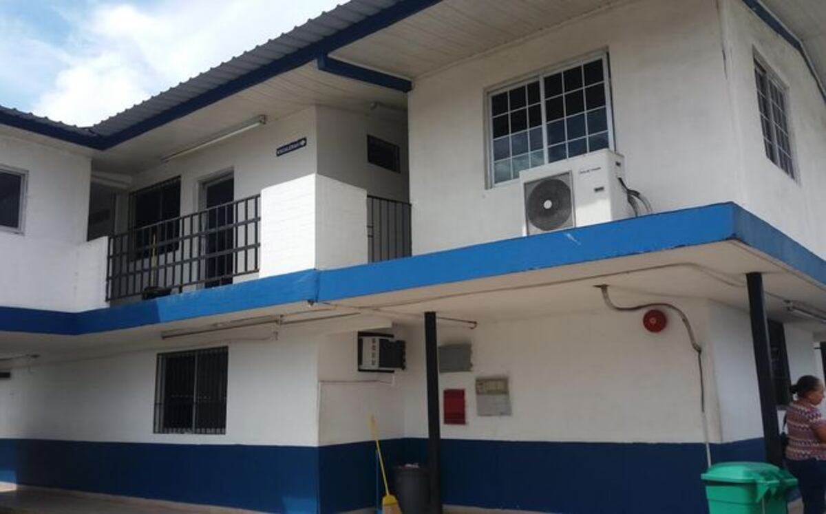 Águilas son picados por abejas en operativo de búsqueda de homicida