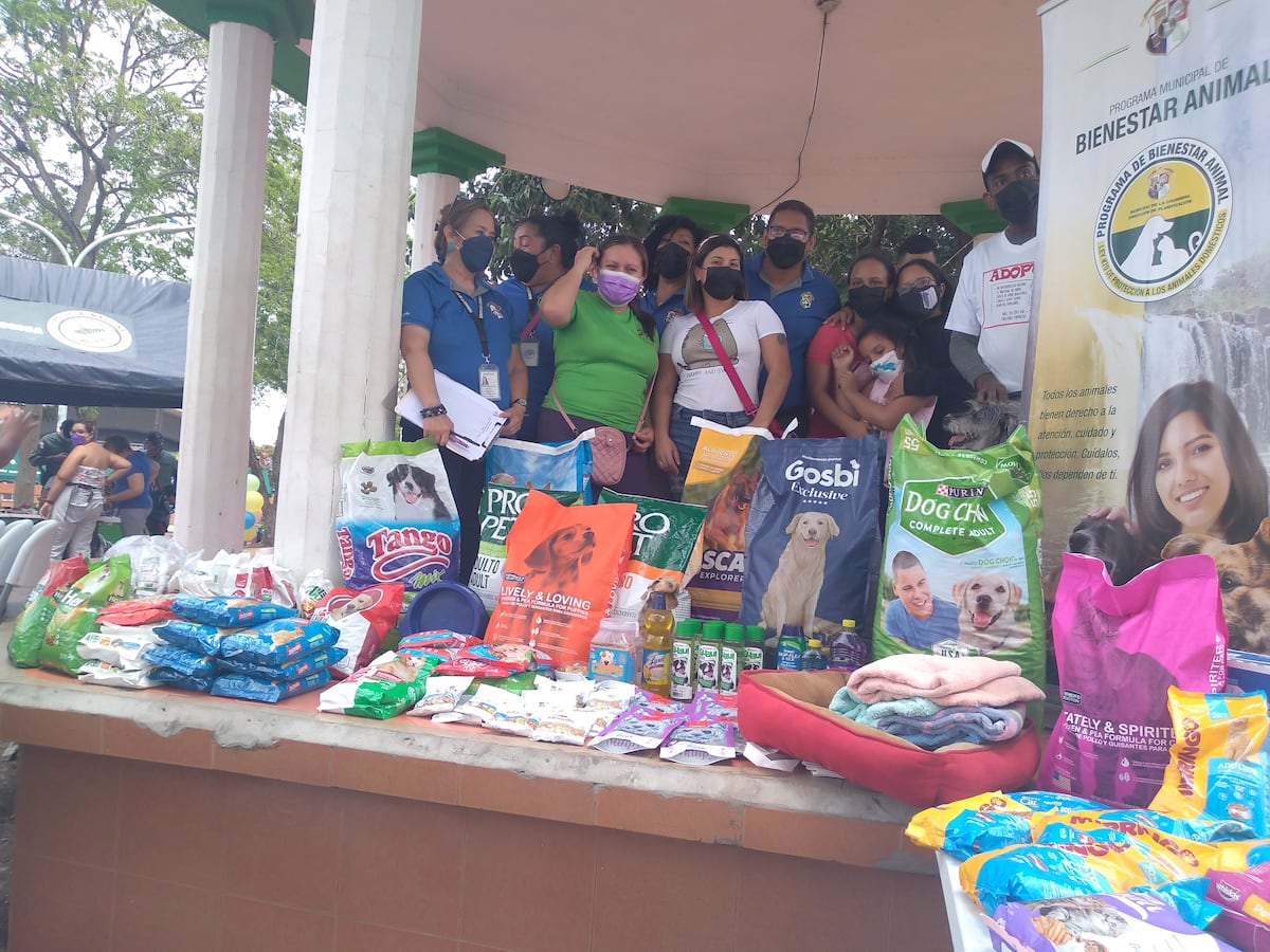 Pancho lleva tiempo esperando que lo adopten y nada.  Recolectan enseres para animales maltratados. Video