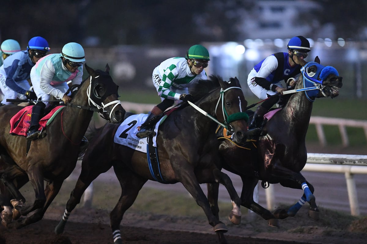 ‘Lodyto Race’ se corona en el Caribe 2025 con el jinete Irad Ortíz Jr.