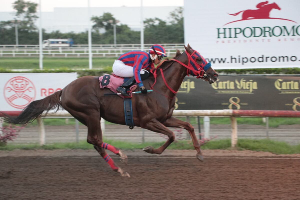 ¡Explosión en la pista! El Clásico Arias Paredes promete fuego puro en el Hipódromo Presidente Remón