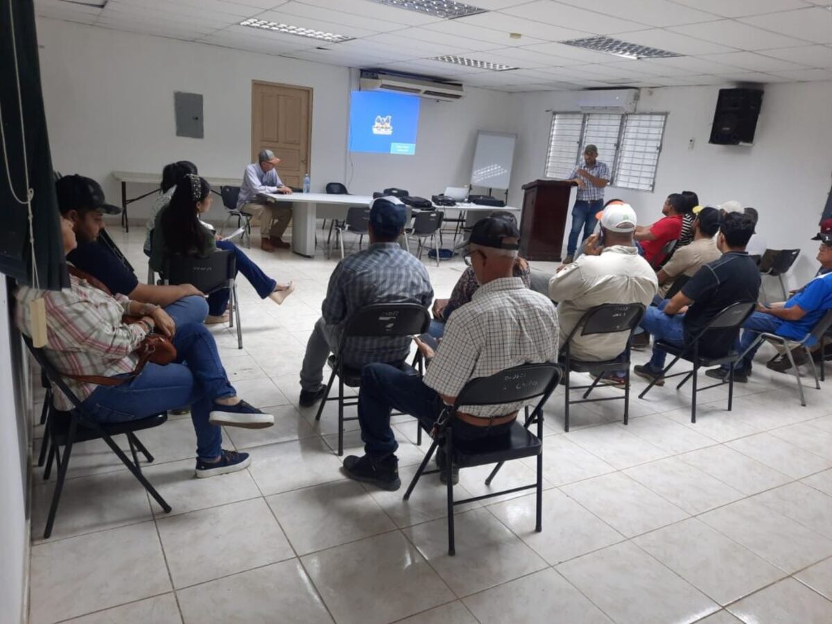 Cebolla santeña apunta a la autosuficiencia con bono por quintal producido