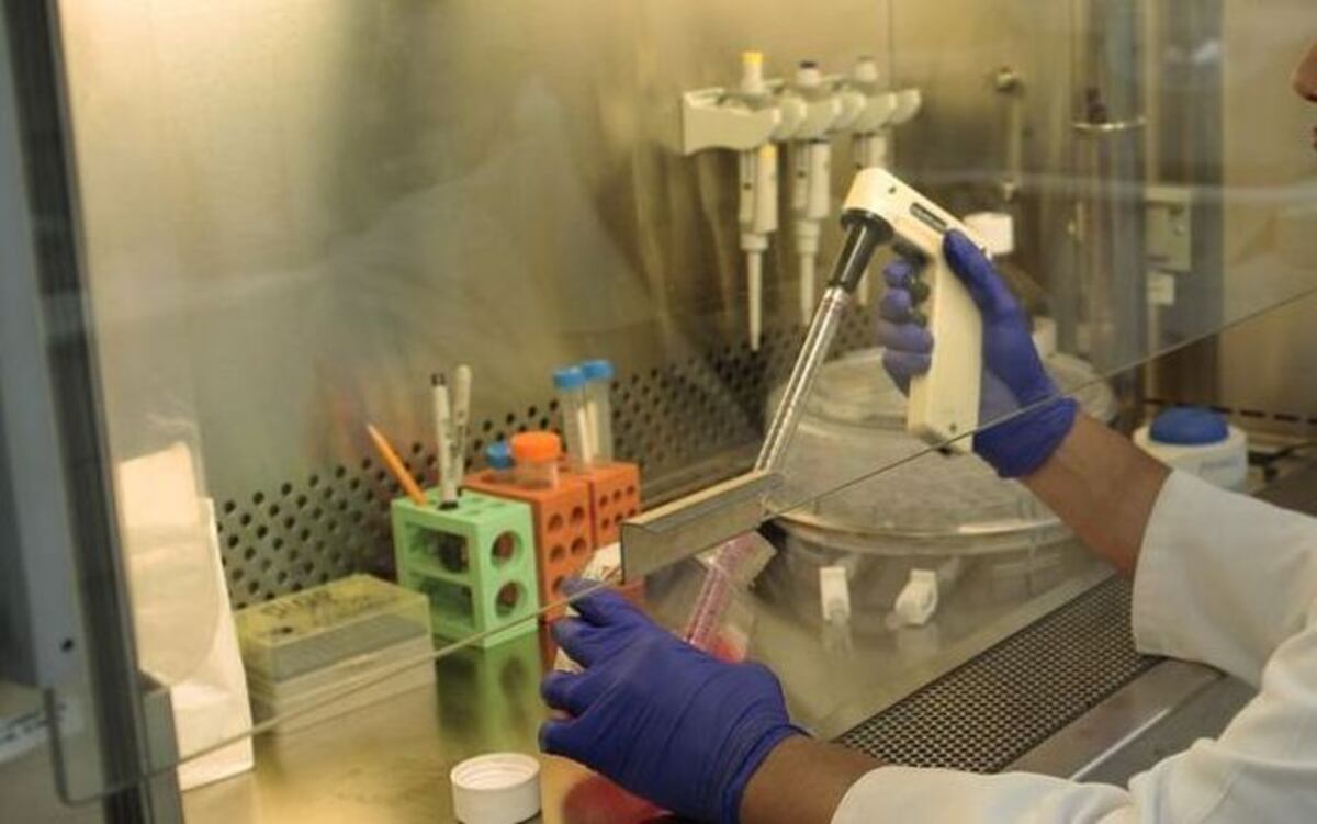 CONFIRMADO. Malaria importada. La trajo un venezolano a Chitré