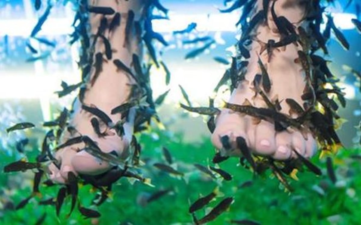 Mujer pierde todas las uñas de sus pies tras someterse a una pedicura con peces 