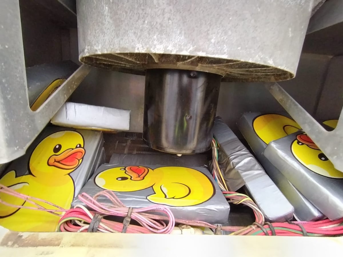 Adorable pero maligno: supuesta ‘coca pato’ cae en Panamá Oeste