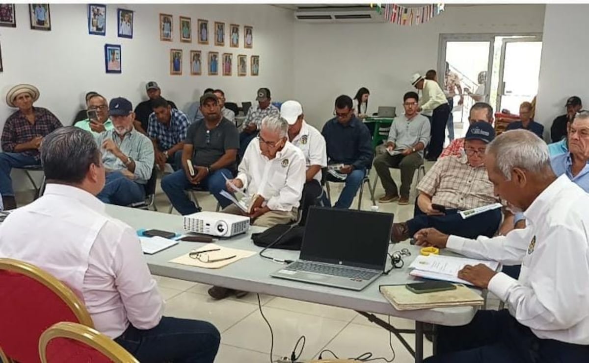 Ganaderos de Veraguas en alerta: importaciones, robos de ganado y cambio climático