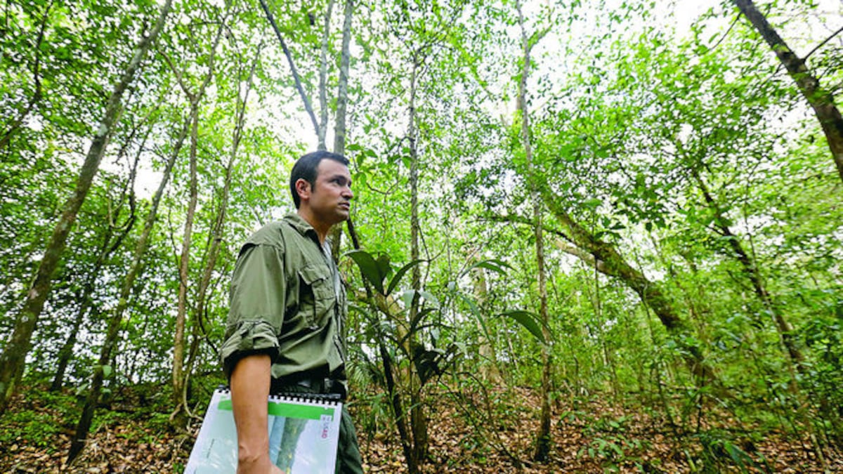 Ponga atención. Mi Ambiente detalla horarios para visita de áreas protegidas