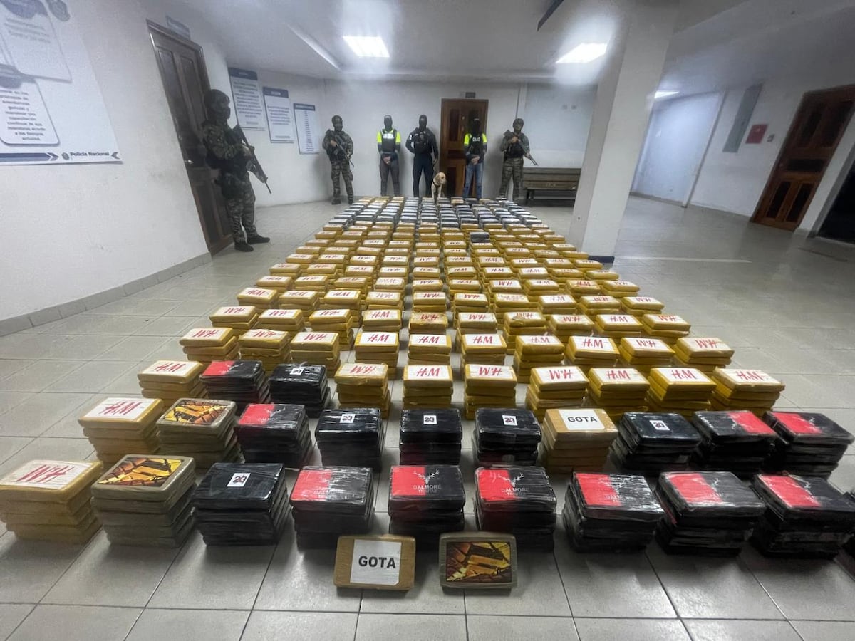 Reventaron el contenedor: Más de mil paquetes de presunta droga iban rumbo a Europa