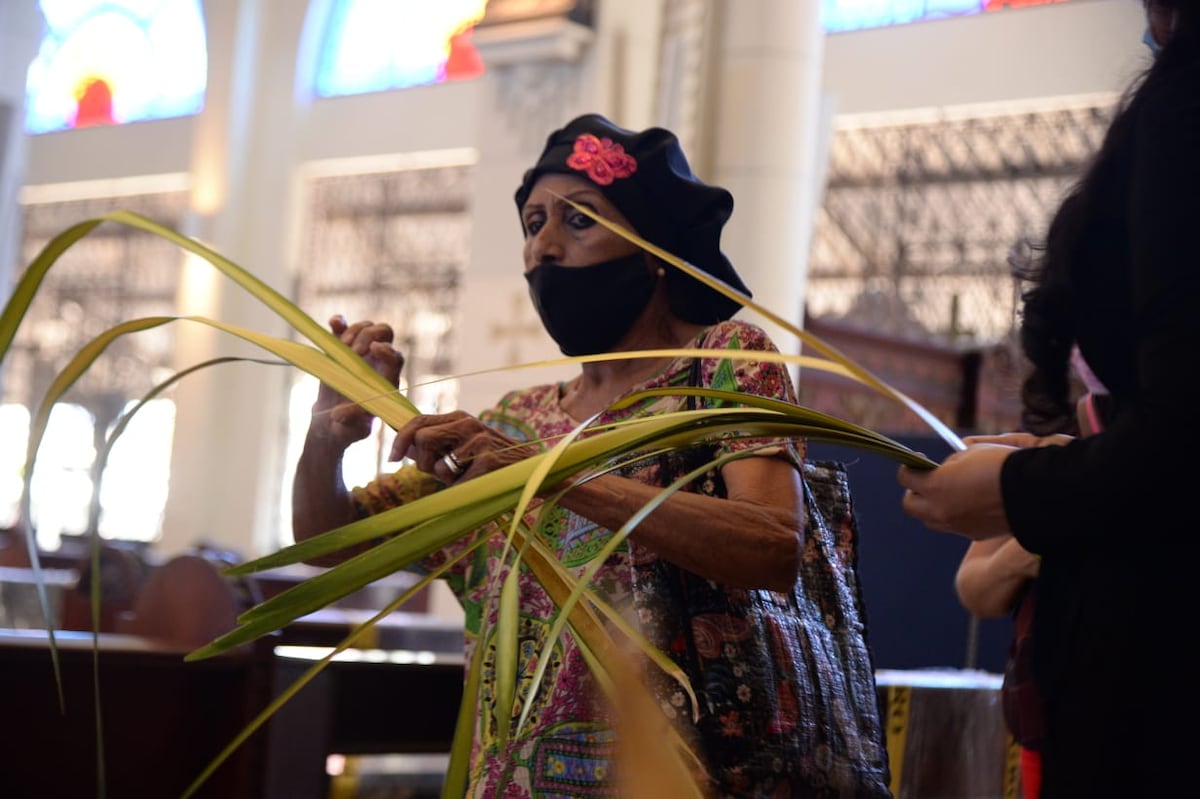 Este domingo de Ramos , Panamá registra 8 defunciones de la covid-19