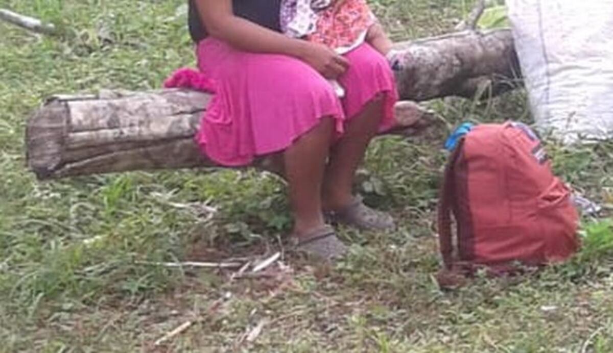 Animales devoraban un cuerpecito