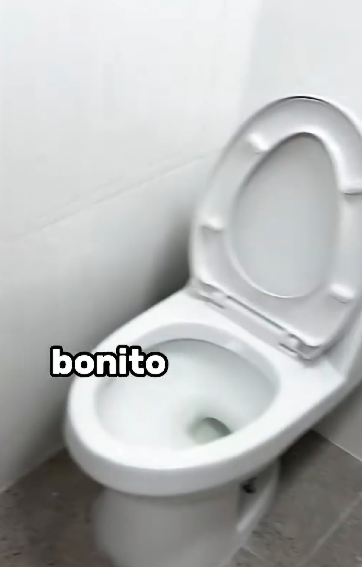 ‘De inhumanos a dignos’: Irma Hernández lideriza remodelación de baños en la Alcaldía de San Miguelito, lo muestra y redes se prenden +VIDEO