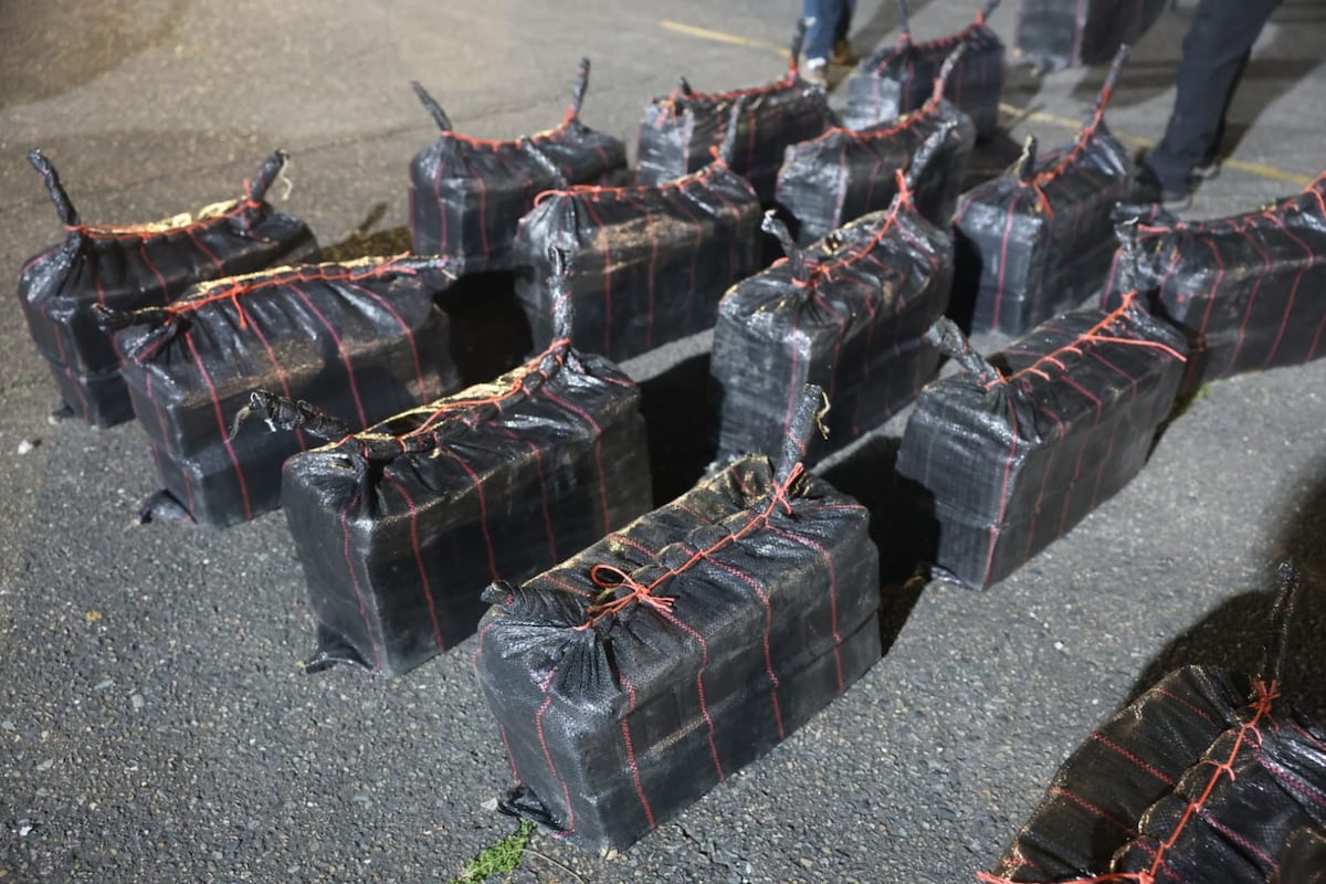 Aeronaval detecta Mil 700 paquetes de presunta droga en contenedores con destino al Reino Unido