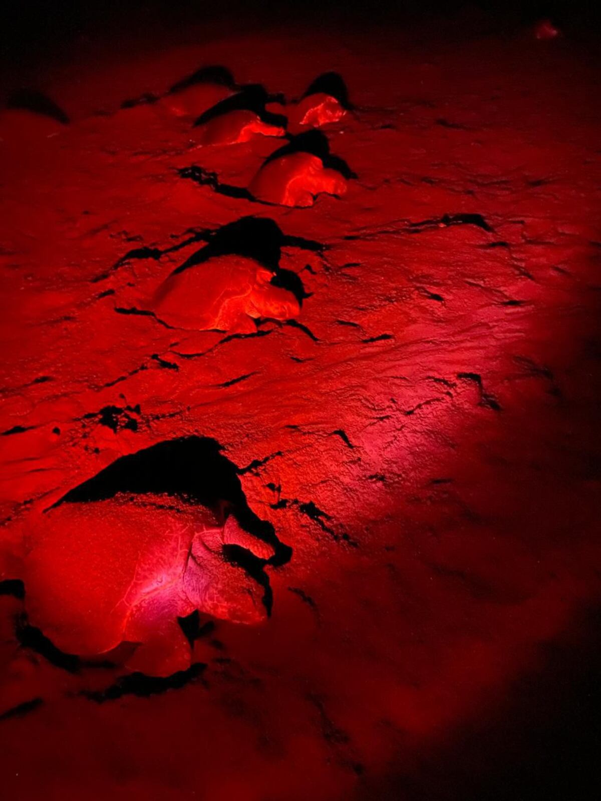 Un mar de caparazones: Tres mil tortugas llegan en Tonosí