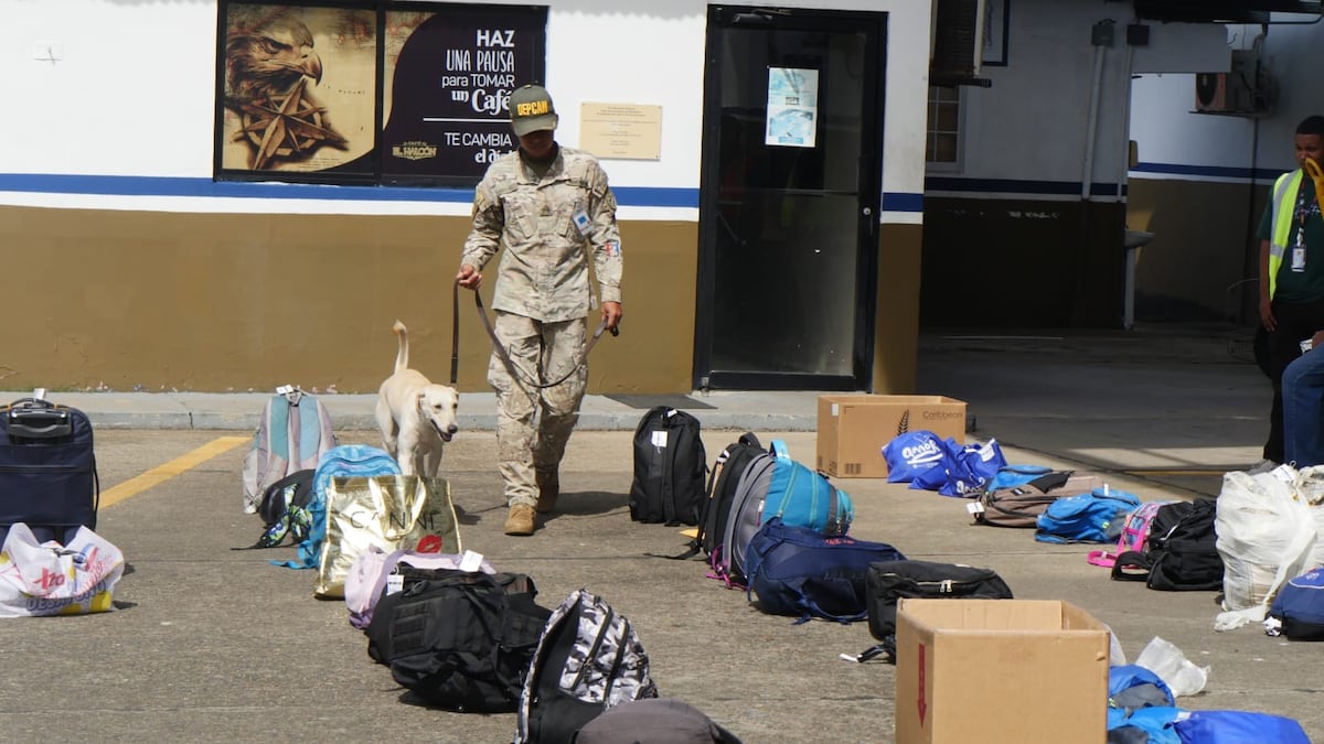 Panamá saca del país a 108 colombianos en un solo vuelo